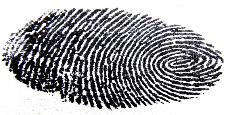 fingerprint to signify uniqueness